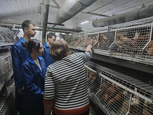 Кадры для развития птицеводства в регионе